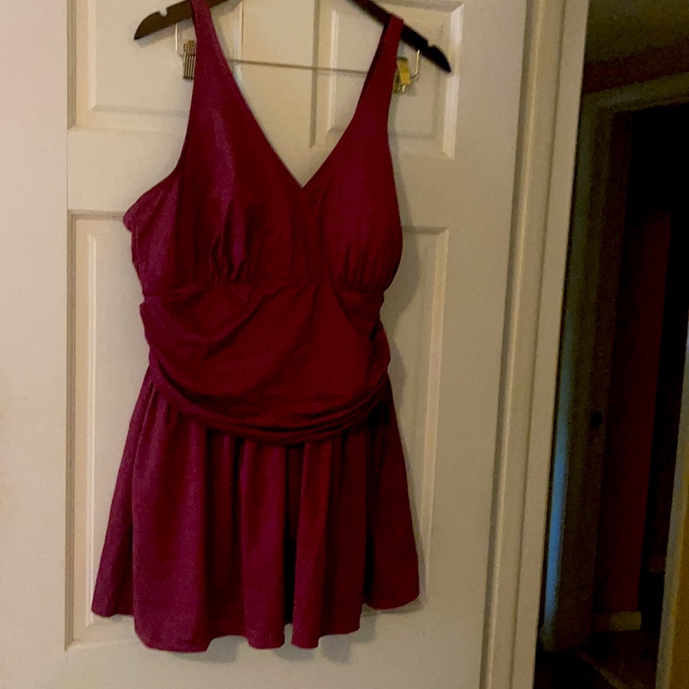 Plum swim dress slightly used wore one time .